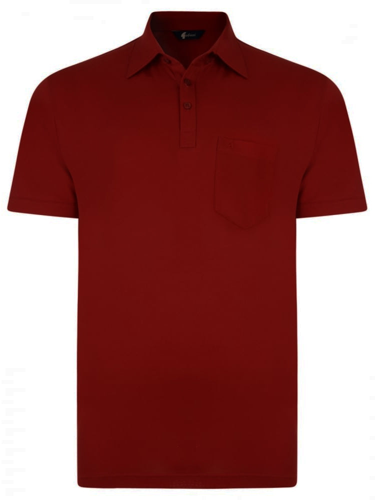 Gabicci Short Sleeve Cotton Blend Polo in Currant - G00Z05-CUR